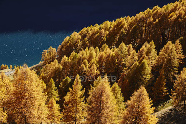 Vista panorámica de Schnalstal, Tirol del Sur, Italia - foto de stock