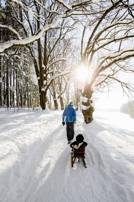 Rear view of man pulling toddler daughter on sledge in snow covered woods, Berg, Bavaria, Germany — Stock Photo