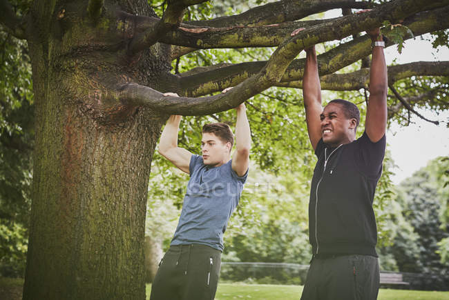 Personal Trainer und junger Mann machen Klimmzüge mit Park-Ast — Stockfoto