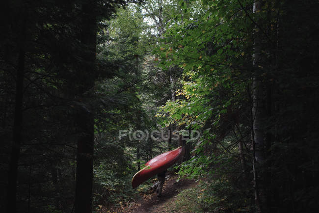 Mid adult woman carrying canoe through forest — Stock Photo