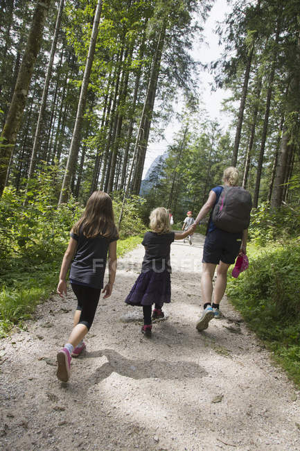 Vista trasera de la madre y los niños senderismo en el bosque, Berchtesgaden, Obersalzberg, Baviera, Alemania - foto de stock