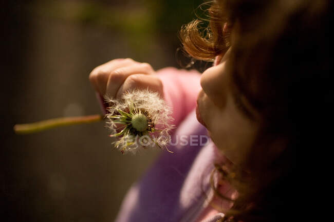 Young girl blowing dandelion clock — Stock Photo