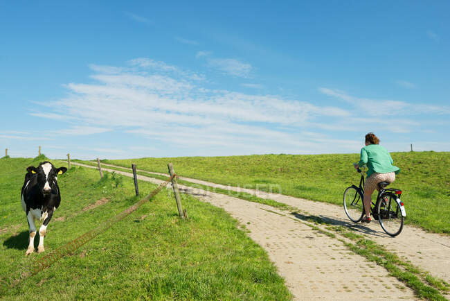 Жінка їде на велосипеді по сільській дорозі — стокове фото