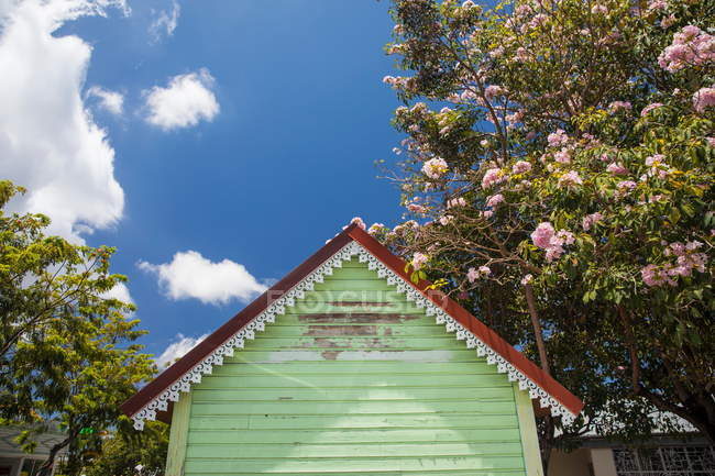 Vista de ángulo bajo de la cabaña verde y el árbol en flor, Isla Reunión - foto de stock
