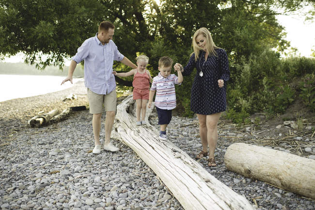 Взрослые родители держатся за руки с мальчиком и девочкой на стволе дерева на озере Онтарио, Ошава, Канада — стоковое фото