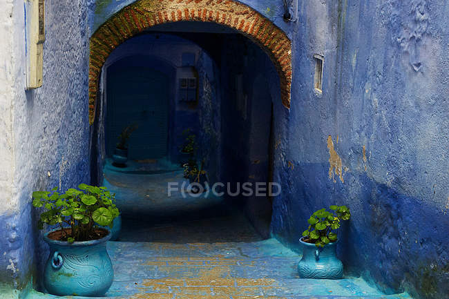 Street arch and potted plants in Chefchaouen, Marruecos - foto de stock