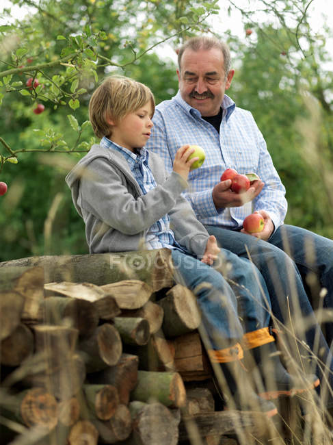 Homem e menino com maçãs, sentados em troncos — Fotografia de Stock
