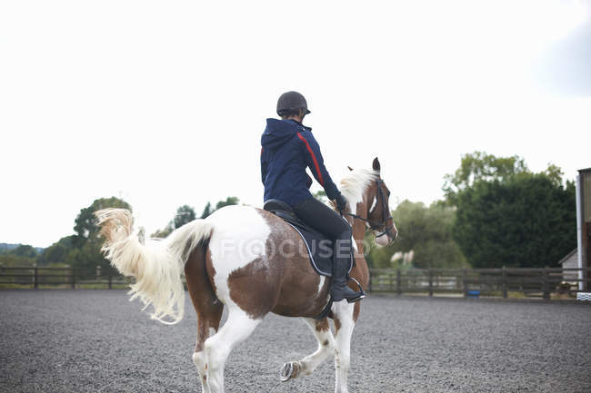 Jovem mulher montando cavalo ao redor paddock, visão traseira — Fotografia de Stock