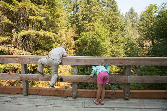 Rear view of two children peering over bridge — Stock Photo