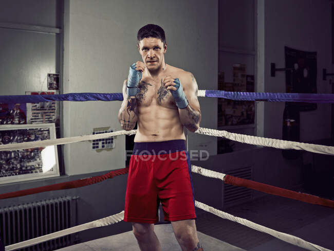Boxer with fists up in ring — Stock Photo