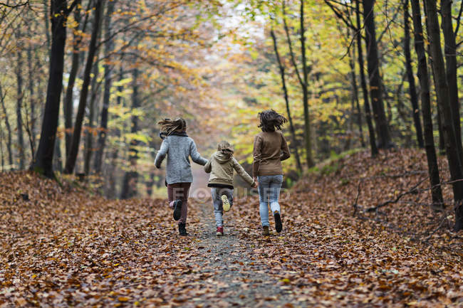 Chicas corriendo en el bosque de otoño - foto de stock