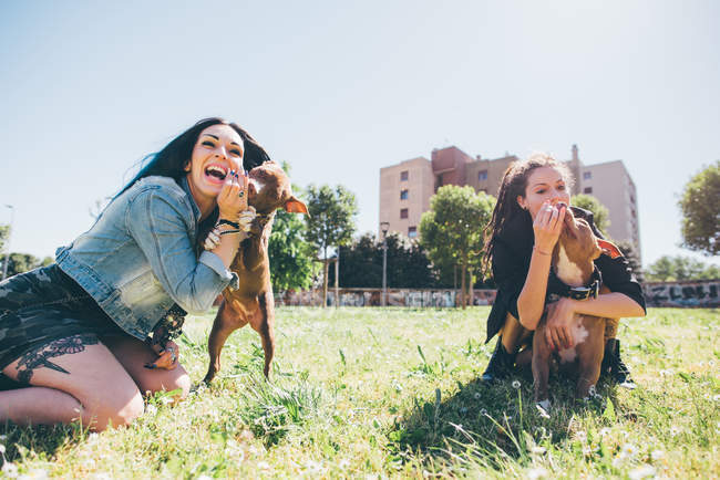 Deux jeunes femmes jouant avec des terriers pit-bull dans un parc urbain — Photo de stock