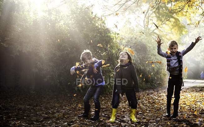 Three young boys, playing outdoors, throwing autumn leaves — Stock Photo