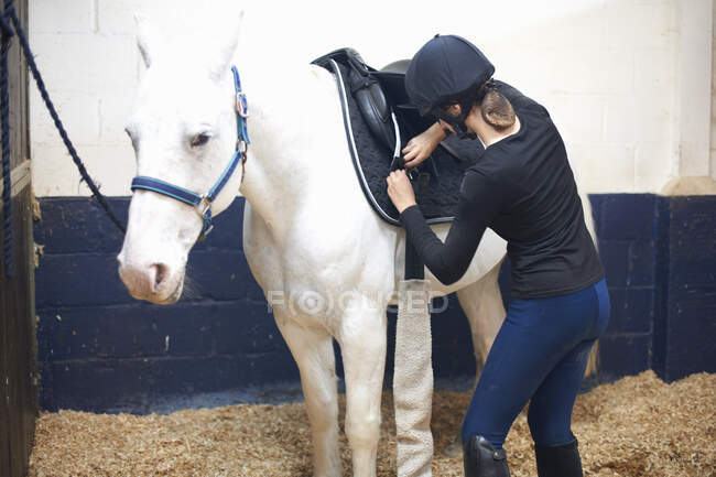 Young woman putting saddle on horse — Stock Photo