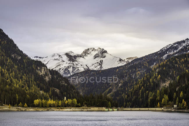 Montagne enneigée, Sufers, Graubunden, Suisse — Photo de stock