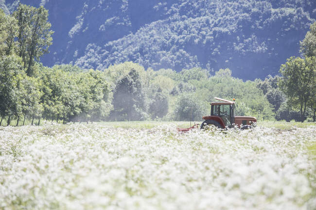 Conduite d'un tracteur dans un champ agricole — Photo de stock