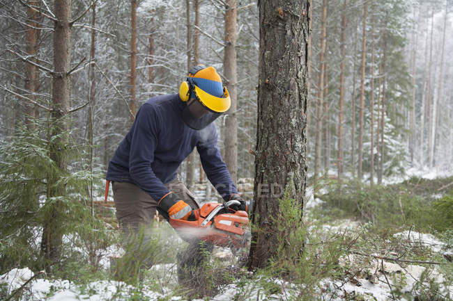 Baumfäller sägen Baum, Tammela, Forssa, Finnland — Stockfoto