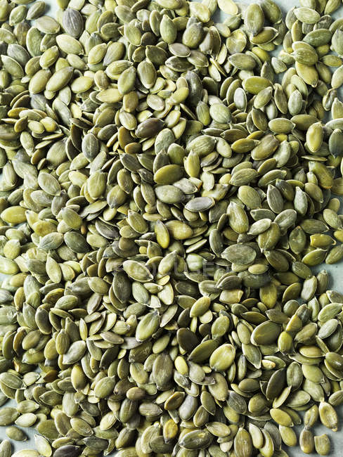 Gros plan de graines de citrouille mûres et délicieuses — Photo de stock