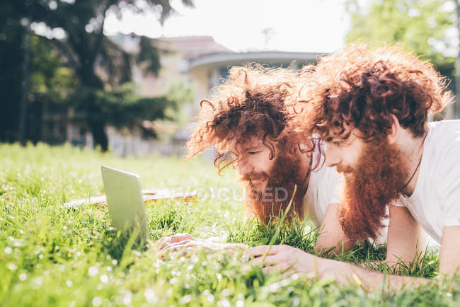 Young male hipster twins with red hair and beards lying in park browsing laptop — Stock Photo
