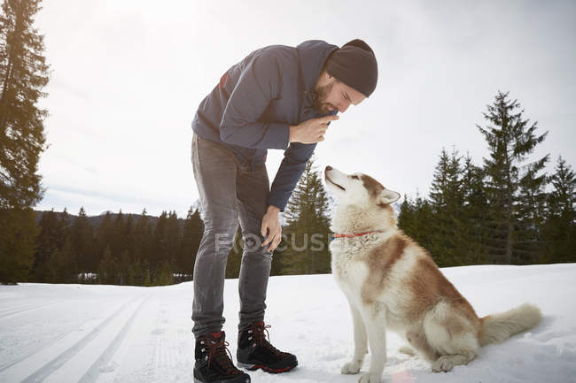 Junger Mann trainiert Husky in verschneiter Landschaft, Elmau, Bayern, Deutschland — Stockfoto