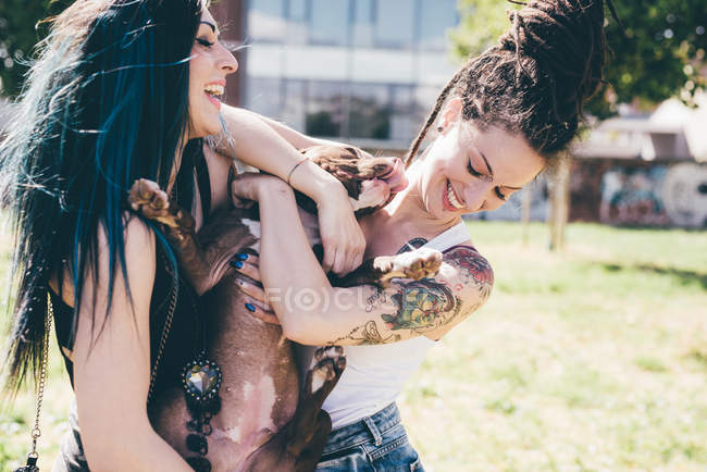 Pit bull terrier lamiendo mujeres jóvenes en parque urbano - foto de stock