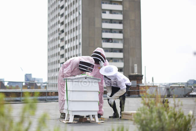 Grupo de apicultores que inspeccionan la colmena - foto de stock