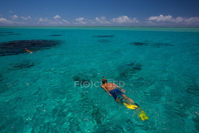 Hombre maduro haciendo snorkel en el mar, Isla de los Cerfos, Mauricio - foto de stock