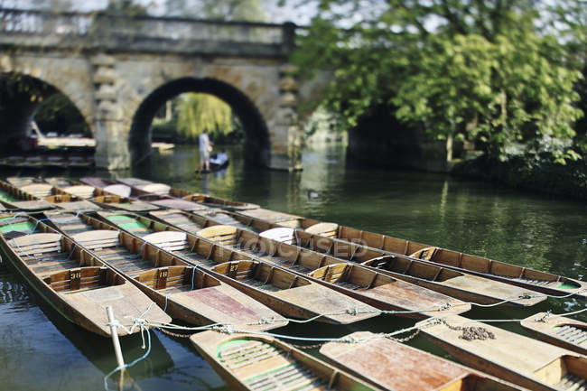 Punts atracado no rio, Oxford, Reino Unido — Fotografia de Stock