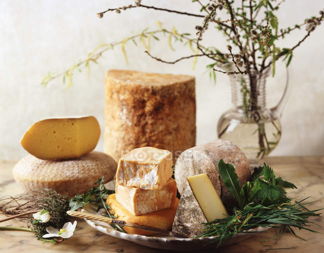 Seleção de várias cabeças de queijo e partes — Fotografia de Stock