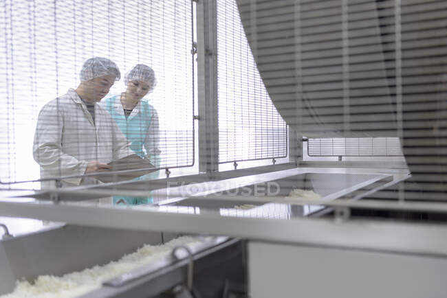 Обсуждаемые рабочие на азиатской продовольственной фабрике — стоковое фото