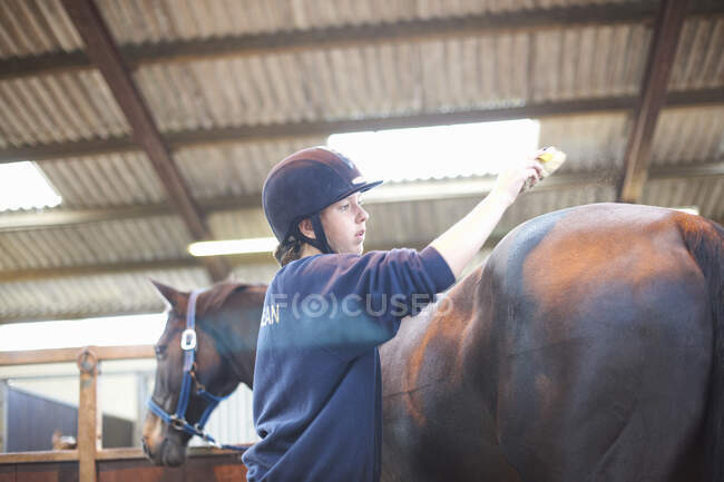 Junge Frau bürstet Pferd mit Pferdebürste — Stockfoto