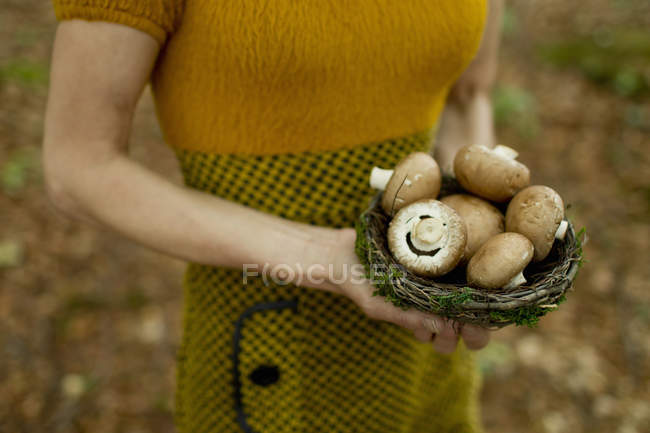 Vista recortada de una mujer madura sosteniendo un nido lleno de setas - foto de stock