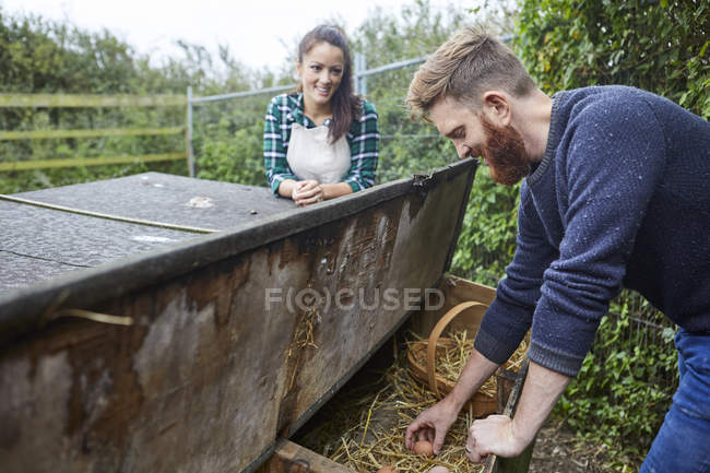 Молодая пара собирает яйца из курятника — стоковое фото