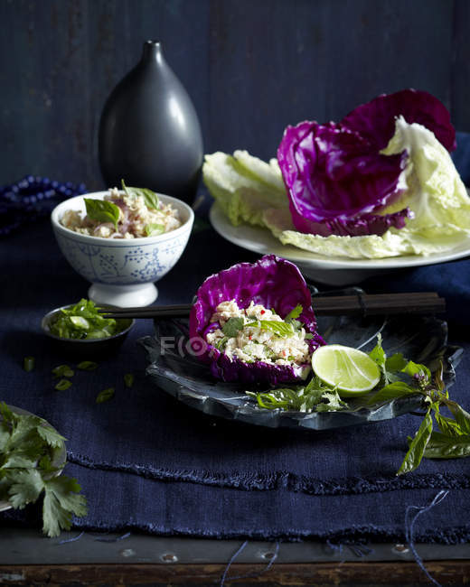 Куриный салат из травы подается в красном листке капусты с лаймовой половинкой — стоковое фото