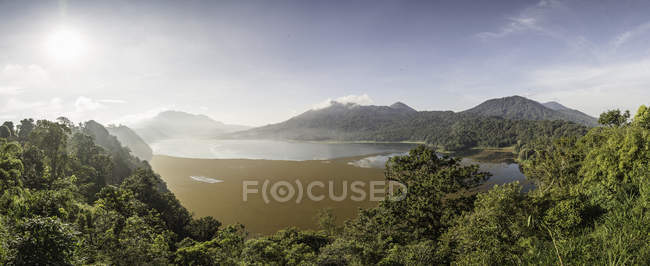 Vue panoramique sur la forêt tropicale et la côte en plein soleil — Photo de stock