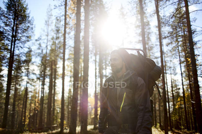 Caminhante com mochila posando na floresta — Fotografia de Stock