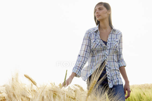Жінка ходить у пшеничному полі — стокове фото