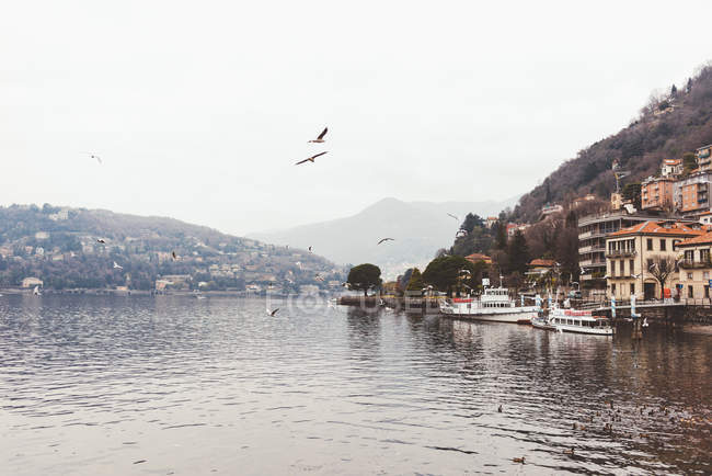 Vista nebbiosa dei gabbiani che sorvolano il Lago di Como — Foto stock