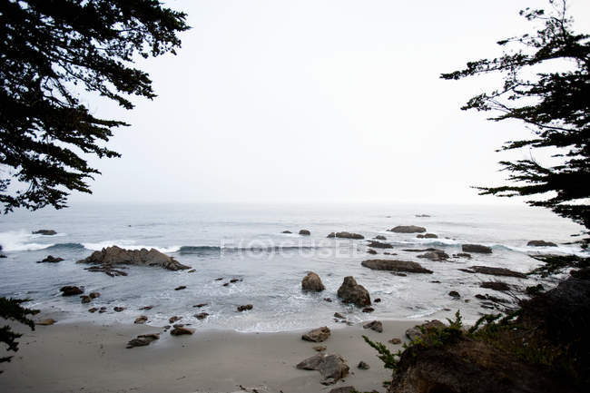 Beautiful seascape and rocks on sandy beach in fog, california, united states of america — Stock Photo
