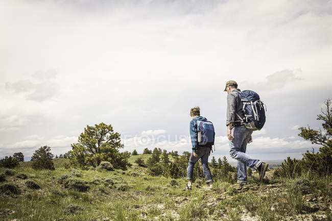 Padre e hijo adolescente caminando por el paisaje, Cody, Wyoming, Estados Unidos - foto de stock