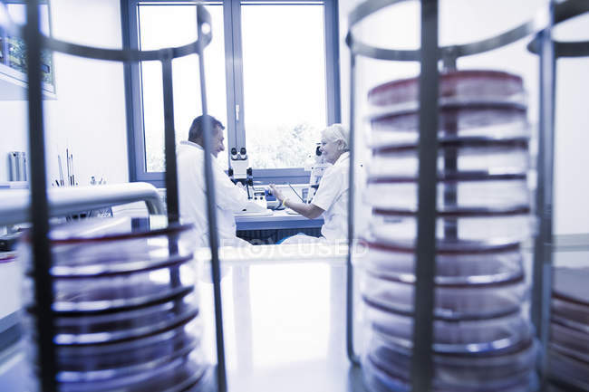 Vista desde entre estantes de placas de Petri de científicos charlando en laboratorio - foto de stock