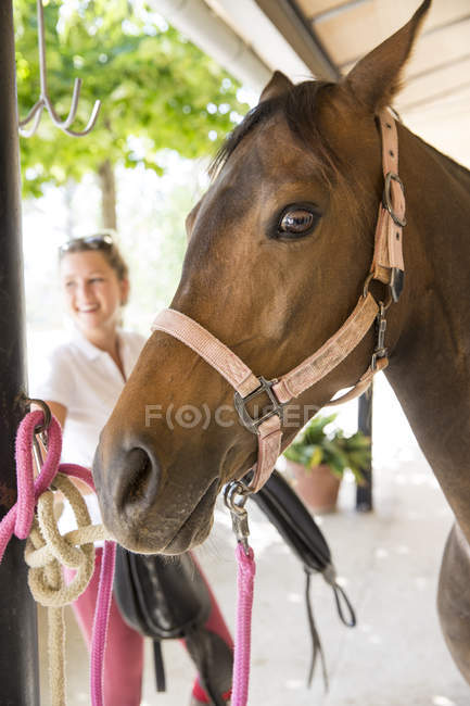 Retrato de um cavalo e noivo feminino em estábulos rurais — Fotografia de Stock