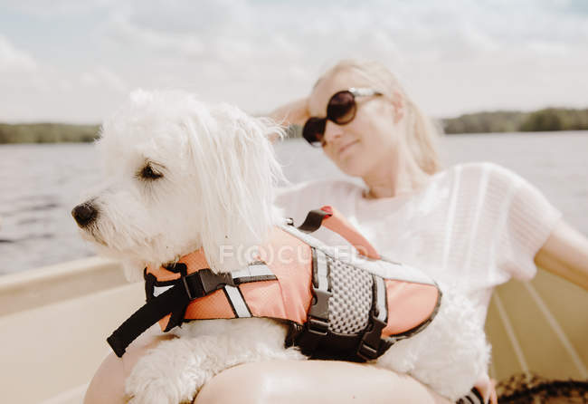 Coton de tulear dog seduto sulle ginocchia di una donna in barca, Orivesi, Finlandia — Foto stock