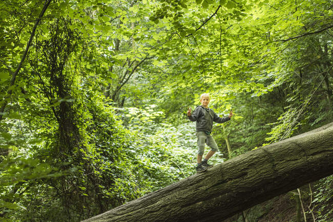 Menino na floresta equilibrando na árvore caída — Fotografia de Stock