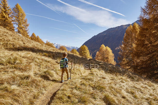 Escursioni per ragazzi lungo il sentiero, vista posteriore, Schnalstal, Alto Adige, Italia — Foto stock