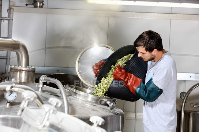 Trabalhador em cervejaria, adicionando lúpulo para fermentar chaleira — Fotografia de Stock