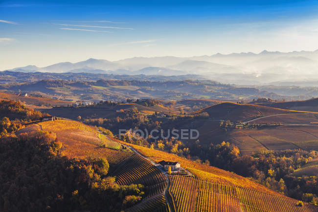 Landscape with autumn vineyards and village buildings — Stock Photo