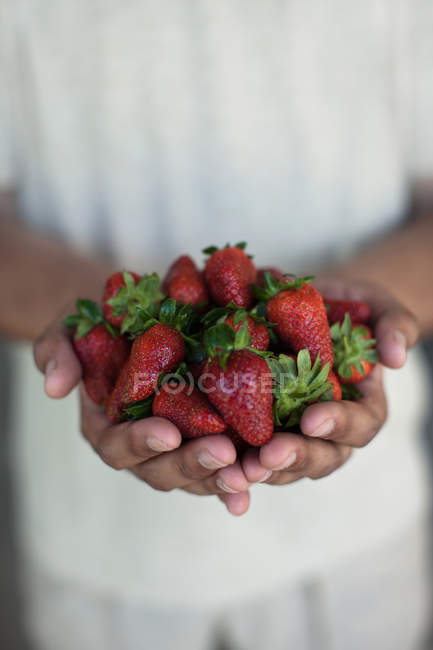 Nahaufnahme von Händen, die Erdbeeren halten — Stockfoto