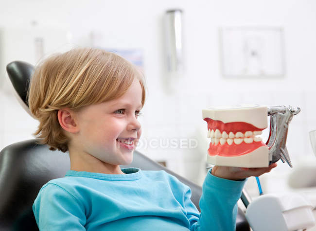 Стоматологический пациент с моделью зубов — стоковое фото