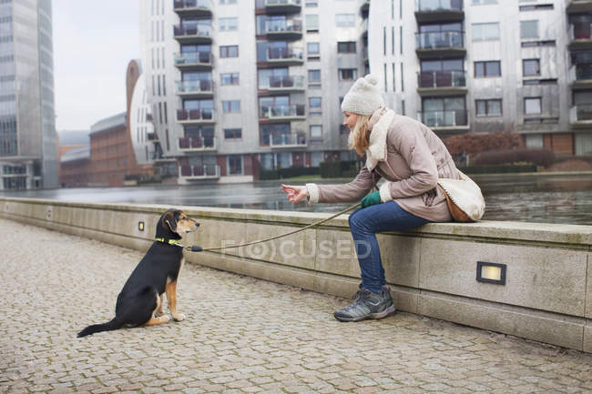 Metà donna adulta e la formazione del suo cane sulla riva del fiume della città — Foto stock